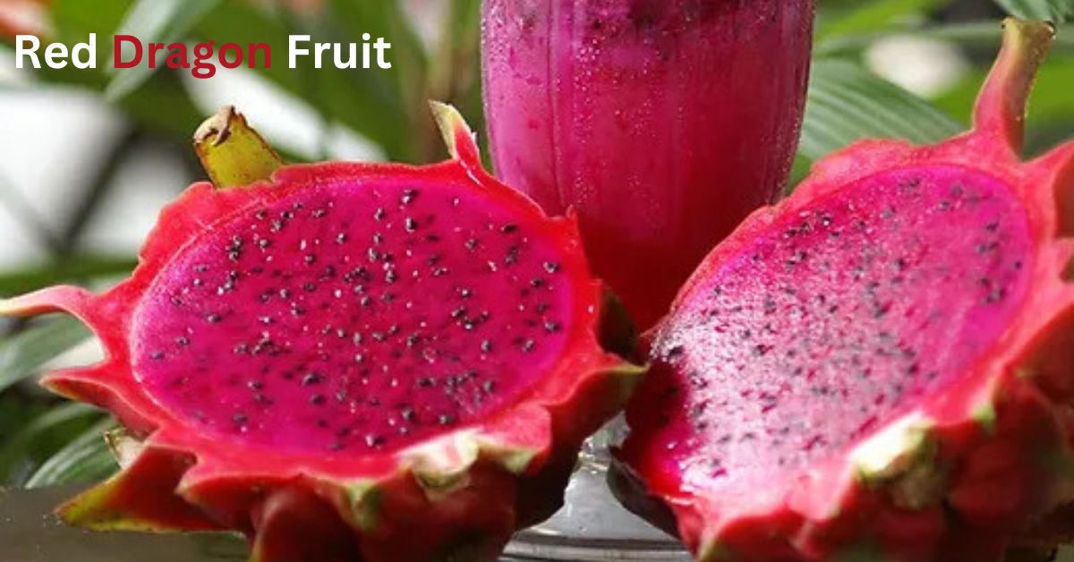 Red Dragon Fruit: A Nutritious Tropical Delight