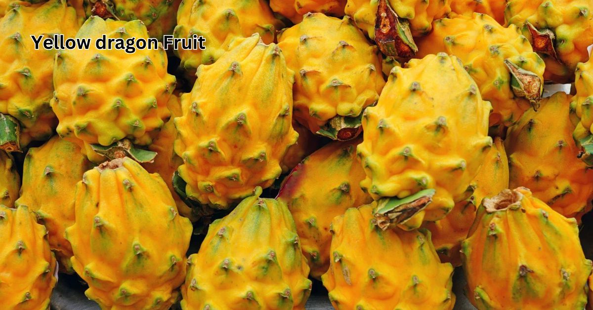 Yellow dragon Fruit