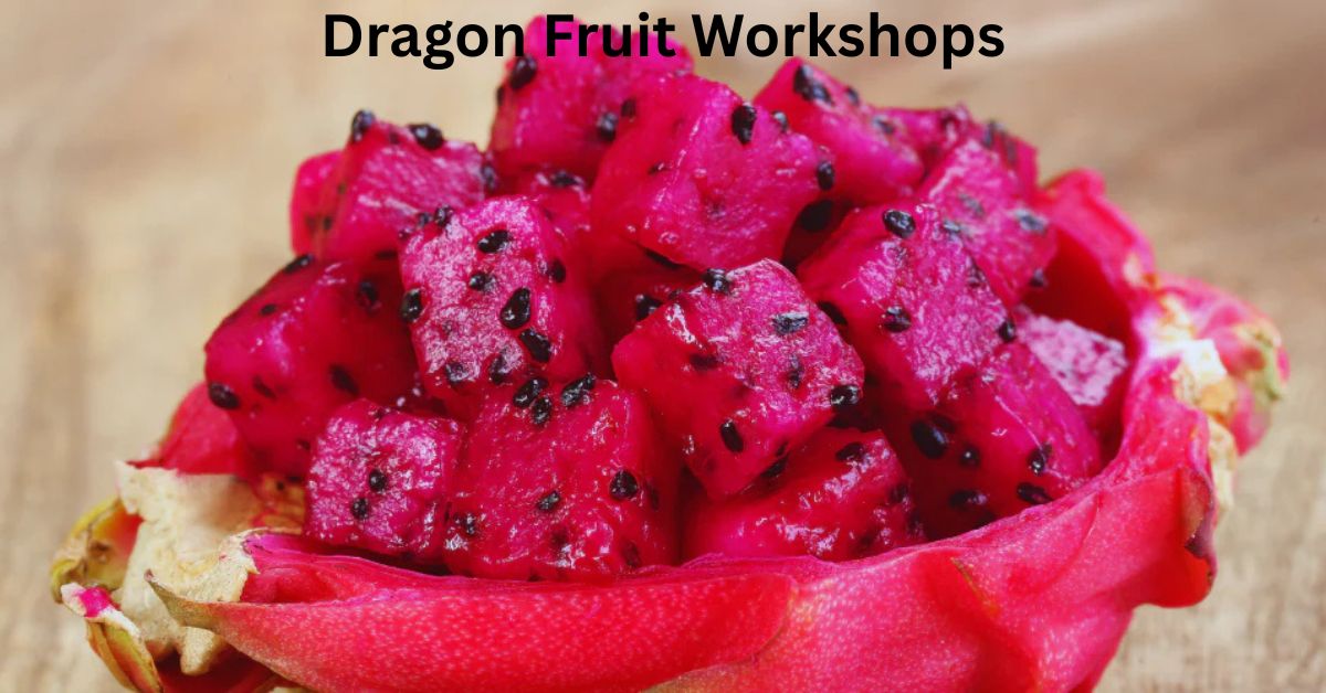 Dragon Fruit Workshops