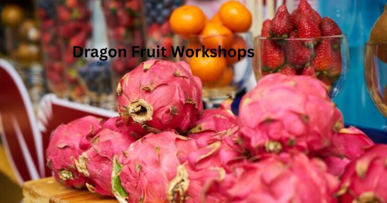 Dragon Fruit Workshops
